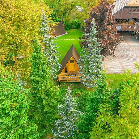 Resort Pod Orehi - Bled - Apartma & Glamping & Savna 外观 照片